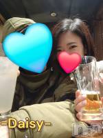 Ĺ襳ѥ˥󥯥Ĺѥ˥-Daisy- ǥ (Ĺȯ 㸩)(ʥѥ˥ǥ) ˨(33)121̥֥ʿʤ🥰