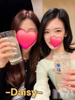 Ĺ�����������襳��ѥ˥��󥯥��Ĺ������ѥ˥���-Daisy- �ǥ����� (Ĺ����ȯ ���㸩����)(�ʥ���������ѥ˥���ǥ�����) ˨�ޥ�(33)��4��19���̥�֥����֤��ޤˤϽ��Ҳ�🩵��