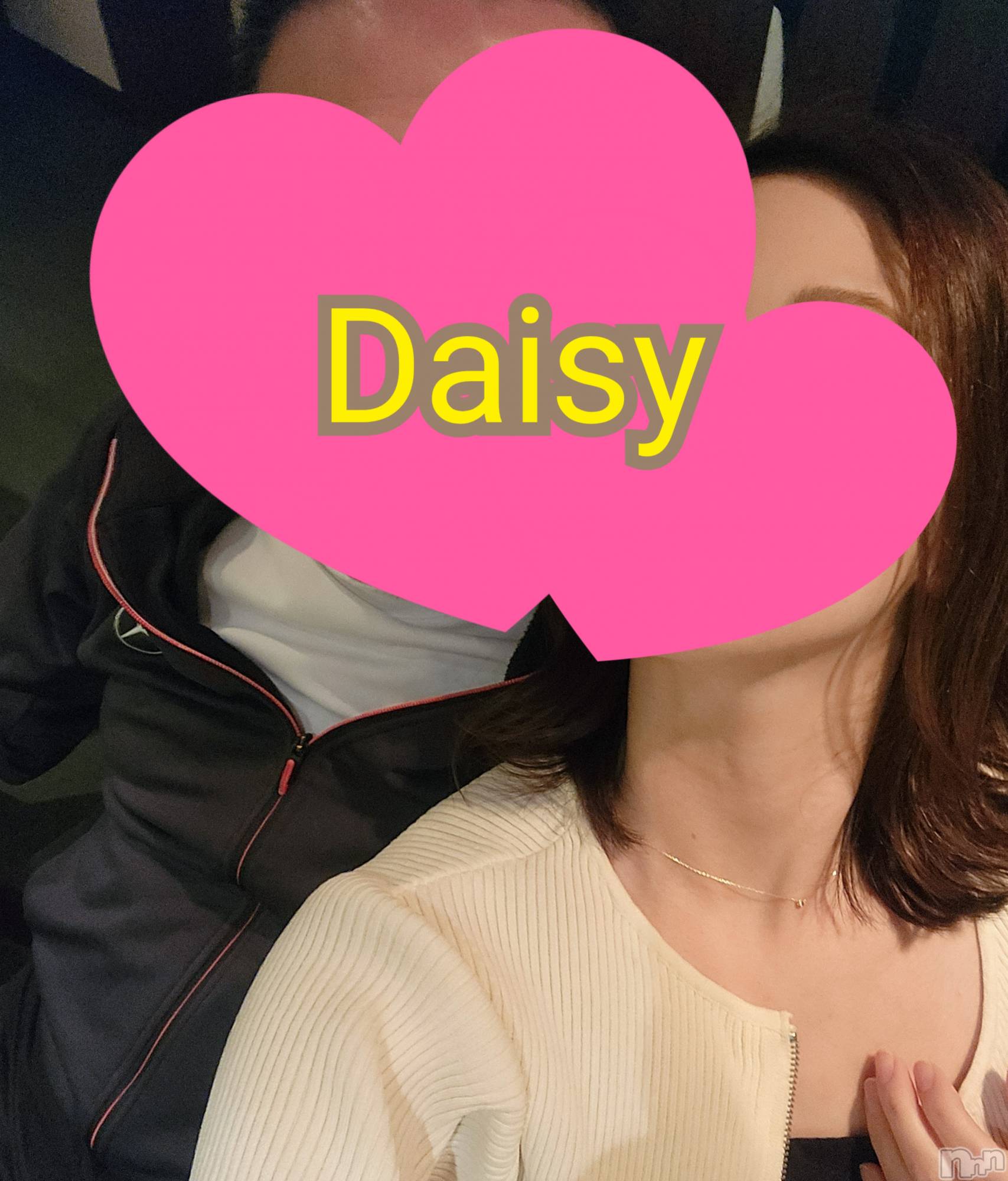 Ĺ襳ѥ˥󥯥Ĺѥ˥-Daisy- ǥ (Ĺȯ 㸩)(ʥѥ˥ǥ) 2024ǯ1223ֻ̥֥Ϥޤä