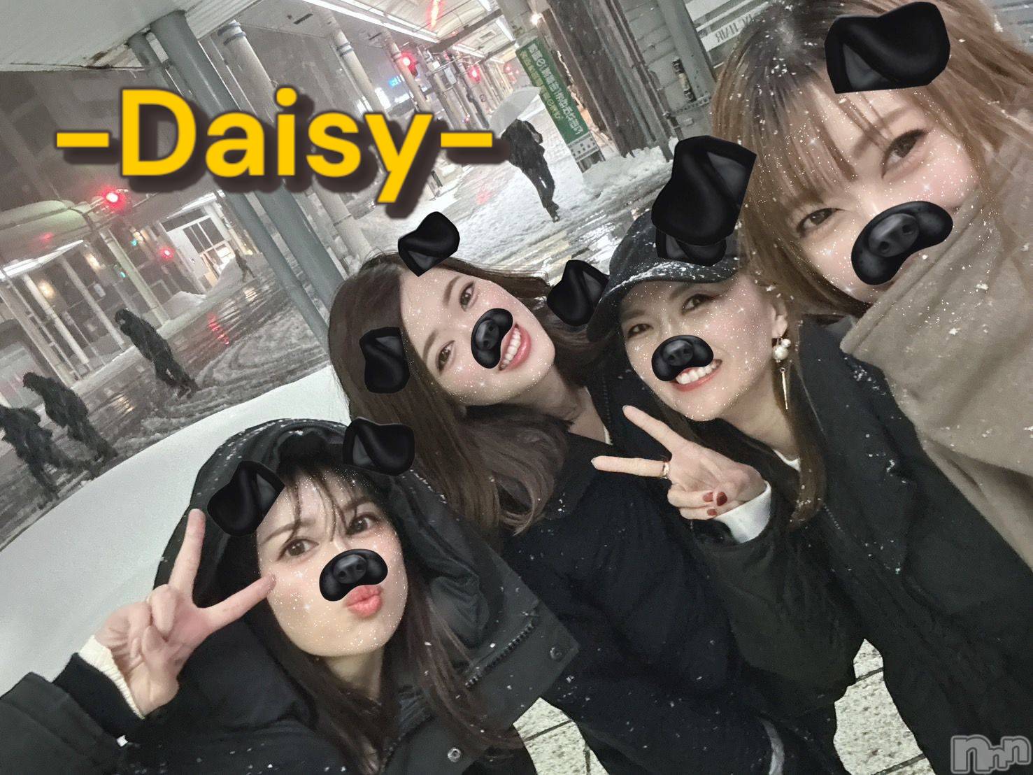 Ĺ襳ѥ˥󥯥Ĺѥ˥-Daisy- ǥ (Ĺȯ 㸩)(ʥѥ˥ǥ) 2025ǯ225̥֥夬☃️