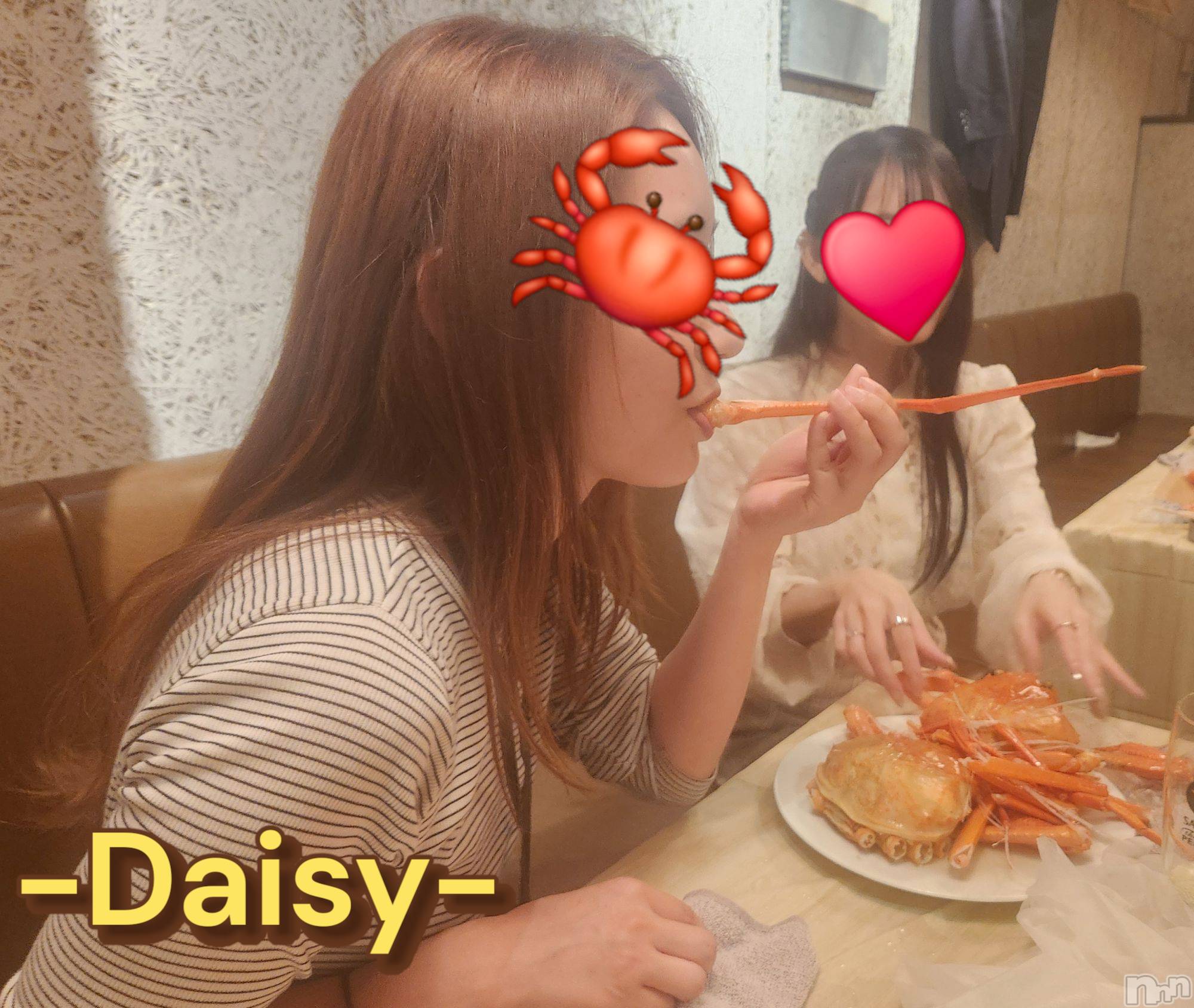 Ĺ襳ѥ˥󥯥Ĺѥ˥-Daisy- ǥ (Ĺȯ 㸩)(ʥѥ˥ǥ) 2025ǯ614ֺ̥֥ϱ☔