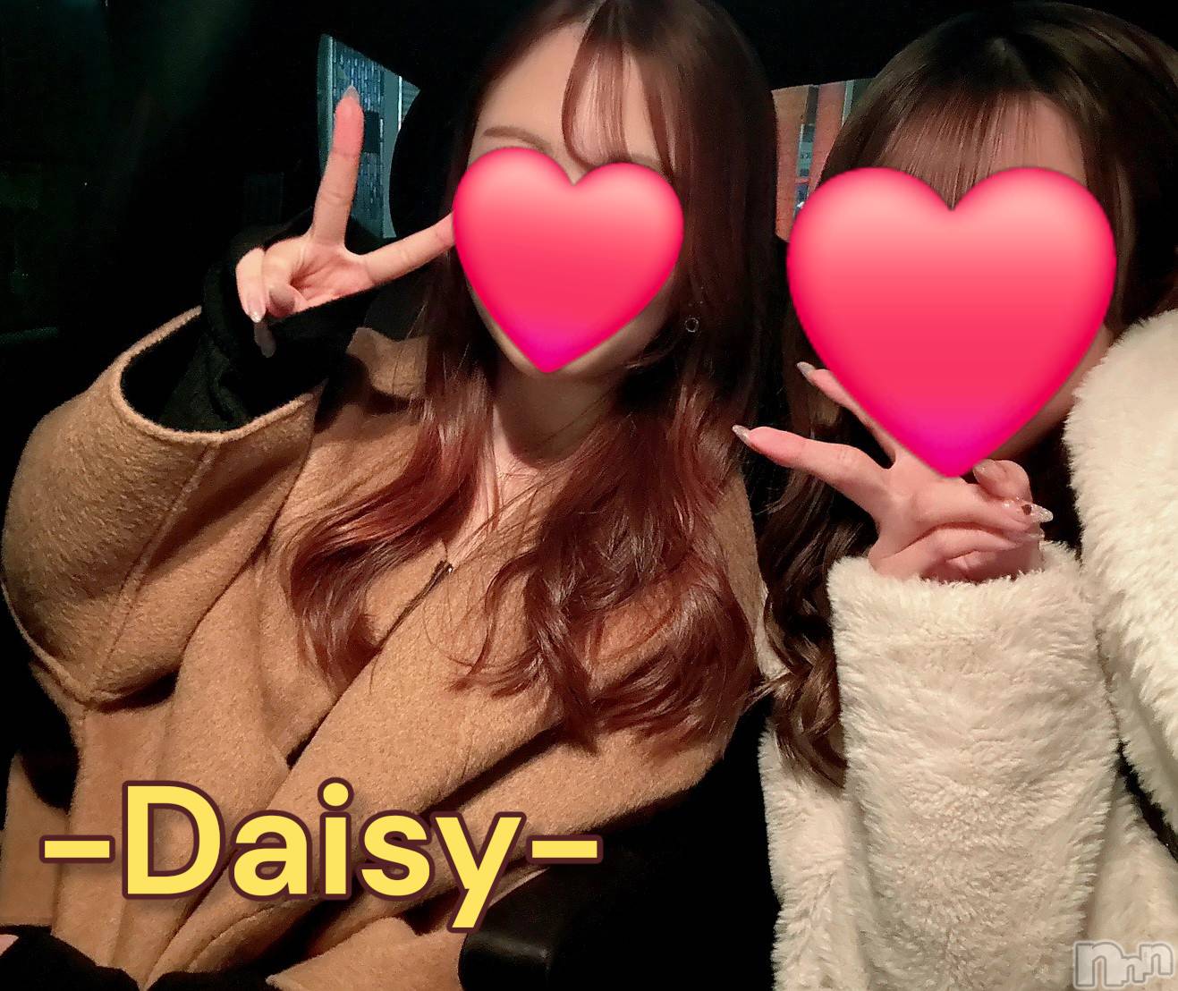 Ĺ�����������襳��ѥ˥��󥯥��Ĺ������ѥ˥���-Daisy- �ǥ����� (Ĺ����ȯ ���㸩����)(�ʥ���������ѥ˥���ǥ�����) ��2026ǯ3��24���̥�֥����֥��������ɤ�🥰💯��