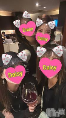 Ĺ襳ѥ˥󥯥Ĺѥ˥-Daisy- ǥ (Ĺȯ 㸩)(ʥѥ˥ǥ) ˨(32)107̥֥֤ޤ֥ȡ