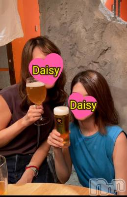 Ĺ襳ѥ˥󥯥Ĺѥ˥-Daisy- ǥ (Ĺȯ 㸩)(ʥѥ˥ǥ) ˨(32)107̥֥֤ͤǡá