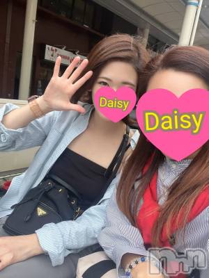 Ĺ襳ѥ˥󥯥Ĺѥ˥-Daisy- ǥ (Ĺȯ 㸩)(ʥѥ˥ǥ) ˨(32)109ֵ̥֥פ֤Ρ
