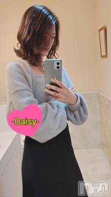 Ĺ襳ѥ˥󥯥Ĺѥ˥-Daisy- ǥ (Ĺȯ 㸩)(ʥѥ˥ǥ) ˨(32)1121̥֥֥쥤ˤʤޤ🩷