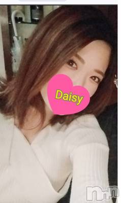 ˨(30) Ĺ165cmĹ襳ѥ˥󥯥 Ĺѥ˥-Daisy- ǥ (Ĺȯ 㸩)(ʥѥ˥ǥ)ҡ