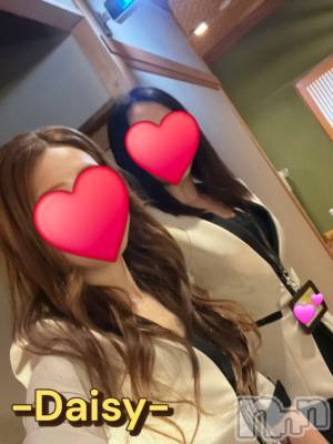Ĺ襳ѥ˥󥯥Ĺѥ˥-Daisy- ǥ (Ĺȯ 㸩)(ʥѥ˥ǥ) ˨(32)328̥֥ͥ🫶💕