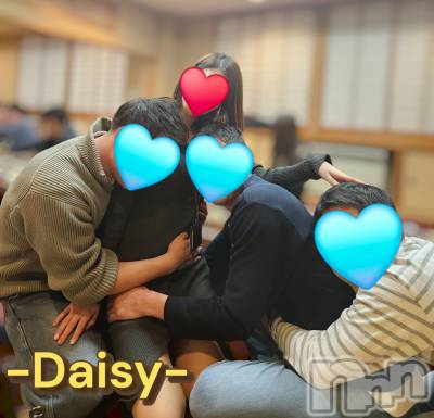 Ĺ襳ѥ˥󥯥Ĺѥ˥-Daisy- ǥ (Ĺȯ 㸩)(ʥѥ˥ǥ) ˨(32)330̥֥֤֤Ȥष🌳🪲💕