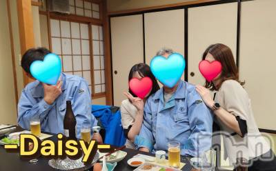 Ĺ襳ѥ˥󥯥Ĺѥ˥-Daisy- ǥ (Ĺȯ 㸩)(ʥѥ˥ǥ) ˨(32)47̥֥֥🏃‍️🌸
