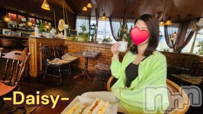 Ĺ襳ѥ˥󥯥Ĺѥ˥-Daisy- ǥ (Ĺȯ 㸩)(ʥѥ˥ǥ) ˨(32)423ֵ̥֥㥿☕🍰💕