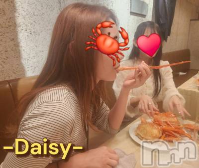 Ĺ襳ѥ˥󥯥Ĺѥ˥-Daisy- ǥ (Ĺȯ 㸩)(ʥѥ˥ǥ) ˨(32)614ֺ̥֥ϱ☔