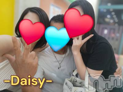 Ĺ襳ѥ˥󥯥Ĺѥ˥-Daisy- ǥ (Ĺȯ 㸩)(ʥѥ˥ǥ) ˨(33)91ֺ̥֥9👉🌾