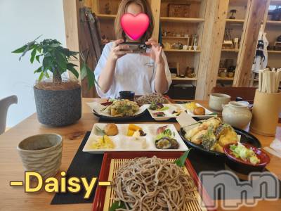 Ĺ襳ѥ˥󥯥Ĺѥ˥-Daisy- ǥ (Ĺȯ 㸩)(ʥѥ˥ǥ) ˨(33)93̥֥֤ޤޤ뤤Ǥ🥵