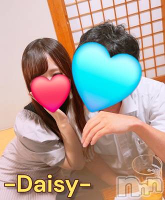 Ĺ襳ѥ˥󥯥Ĺѥ˥-Daisy- ǥ (Ĺȯ 㸩)(ʥѥ˥ǥ) ˨(33)914ֻ̥֥Ϣ🥳🎶