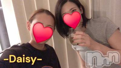Ĺ襳ѥ˥󥯥Ĺѥ˥-Daisy- ǥ (Ĺȯ 㸩)(ʥѥ˥ǥ) ˨(33)1010̥֥֤Ȥ🌼💕
