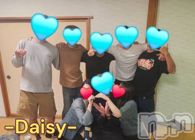 Ĺ襳ѥ˥󥯥Ĺѥ˥-Daisy- ǥ (Ĺȯ 㸩)(ʥѥ˥ǥ) ˨(33)1011̥֥˺ǯϡ