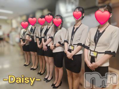 Ĺ襳ѥ˥󥯥Ĺѥ˥-Daisy- ǥ (Ĺȯ 㸩)(ʥѥ˥ǥ) ˨(33)1029̥֥1029 2352ʬΥ֥