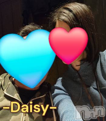 Ĺ襳ѥ˥󥯥Ĺѥ˥-Daisy- ǥ (Ĺȯ 㸩)(ʥѥ˥ǥ) ˨(33)1114ֽ̥֥ˤФ🌛💭