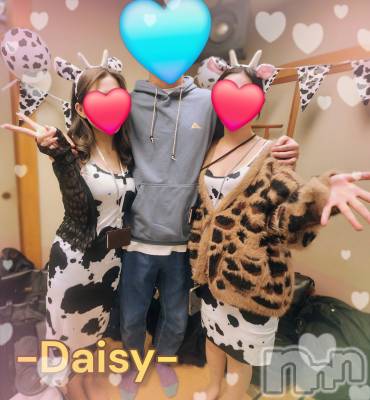 Ĺ�����������襳��ѥ˥��󥯥��Ĺ������ѥ˥���-Daisy- �ǥ����� (Ĺ����ȯ ���㸩����)(�ʥ���������ѥ˥���ǥ�����) ˨�ޥ�(33)��12��31���̥�֥�����2025�紶��🥲💯💕��