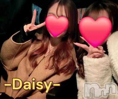 Ĺ�����������襳��ѥ˥��󥯥��Ĺ������ѥ˥���-Daisy- �ǥ����� (Ĺ����ȯ ���㸩����)(�ʥ���������ѥ˥���ǥ�����) ˨�ޥ�(33)��3��24���̥�֥����֥��������ɤ�🥰💯��