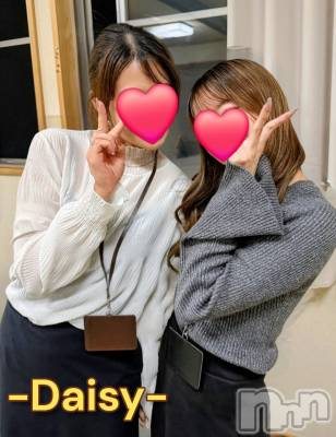 Ĺ�����������襳��ѥ˥��󥯥��Ĺ������ѥ˥���-Daisy- �ǥ����� (Ĺ����ȯ ���㸩����)(�ʥ���������ѥ˥���ǥ�����) ˨�ޥ�(33)��4��21���̥�֥����ָ����񤬰¤������☺️🌼��