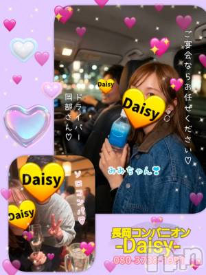 Ĺ�����������襳��ѥ˥��󥯥��Ĺ������ѥ˥���-Daisy- �ǥ����� (Ĺ����ȯ ���㸩����)(�ʥ���������ѥ˥���ǥ�����) ˨�ޥ�(33)��6��20���̥�֥����֡�🍻���������💛�ۡ�