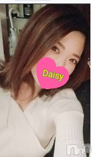 Ĺ������ѥ˥���-Daisy- �ǥ����� (Ĺ����ȯ ���㸩����) ˨�ޥ�(33)