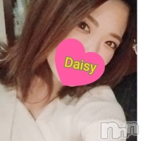 Ĺѥ˥-Daisy- ǥ (Ĺȯ 㸩) ˨
