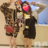 Ĺ������ѥ˥���-Daisy- �ǥ����� (Ĺ����ȯ ���㸩����)