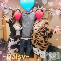 Ĺ������ѥ˥���-Daisy- �ǥ����� (Ĺ����ȯ ���㸩����)