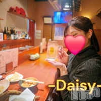 Ĺ������ѥ˥���-Daisy- �ǥ����� (Ĺ����ȯ ���㸩����)