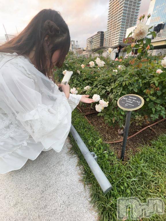 新潟ソープ新潟バニーコレクション(ニイガタバニーコレクション)ミルク(20)の2025年11月22日写メブログ「今日から♡♡」