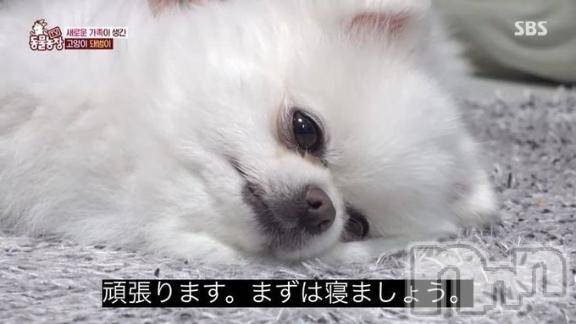 新潟ソープ新潟バニーコレクション(ニイガタバニーコレクション)ミルク(20)の2025年11月23日写メブログ「ねるぞ」