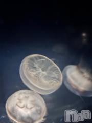 新潟ソープ新潟バニーコレクション(ニイガタバニーコレクション) ミルク(20)の7月11日写メブログ「おはよ」