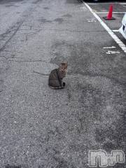 新潟ソープ新潟バニーコレクション(ニイガタバニーコレクション) ミルク(20)の10月17日写メブログ「ごろごろ」