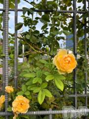 新潟ソープ新潟バニーコレクション(ニイガタバニーコレクション) ミルク(20)の12月21日写メブログ「おやすみ」