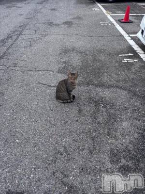 新潟ソープ 新潟バニーコレクション(ニイガタバニーコレクション) ミルク(20)の10月17日写メブログ「ごろごろ」