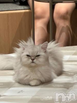 新潟ソープ 新潟バニーコレクション(ニイガタバニーコレクション) ミルク(20)の10月18日写メブログ「おつかれさまぁ」