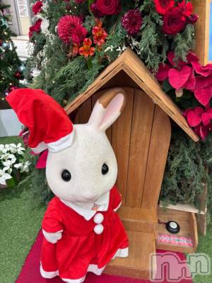 新潟ソープ 新潟バニーコレクション(ニイガタバニーコレクション) ミルク(20)の12月20日写メブログ「ねるお」