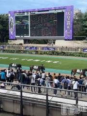 新潟デリヘル熟女の風俗 最終章(ジュクジョノフウゾクサイシュウショウ) ちなつ(40)の10月19日写メブログ「いざ競馬場へ」