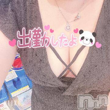 長岡人妻デリヘル奥様特急 長岡店(オクサマトッキュウナガオカテン) このえ(39)の8月28日写メブログ「出勤したよ✨」