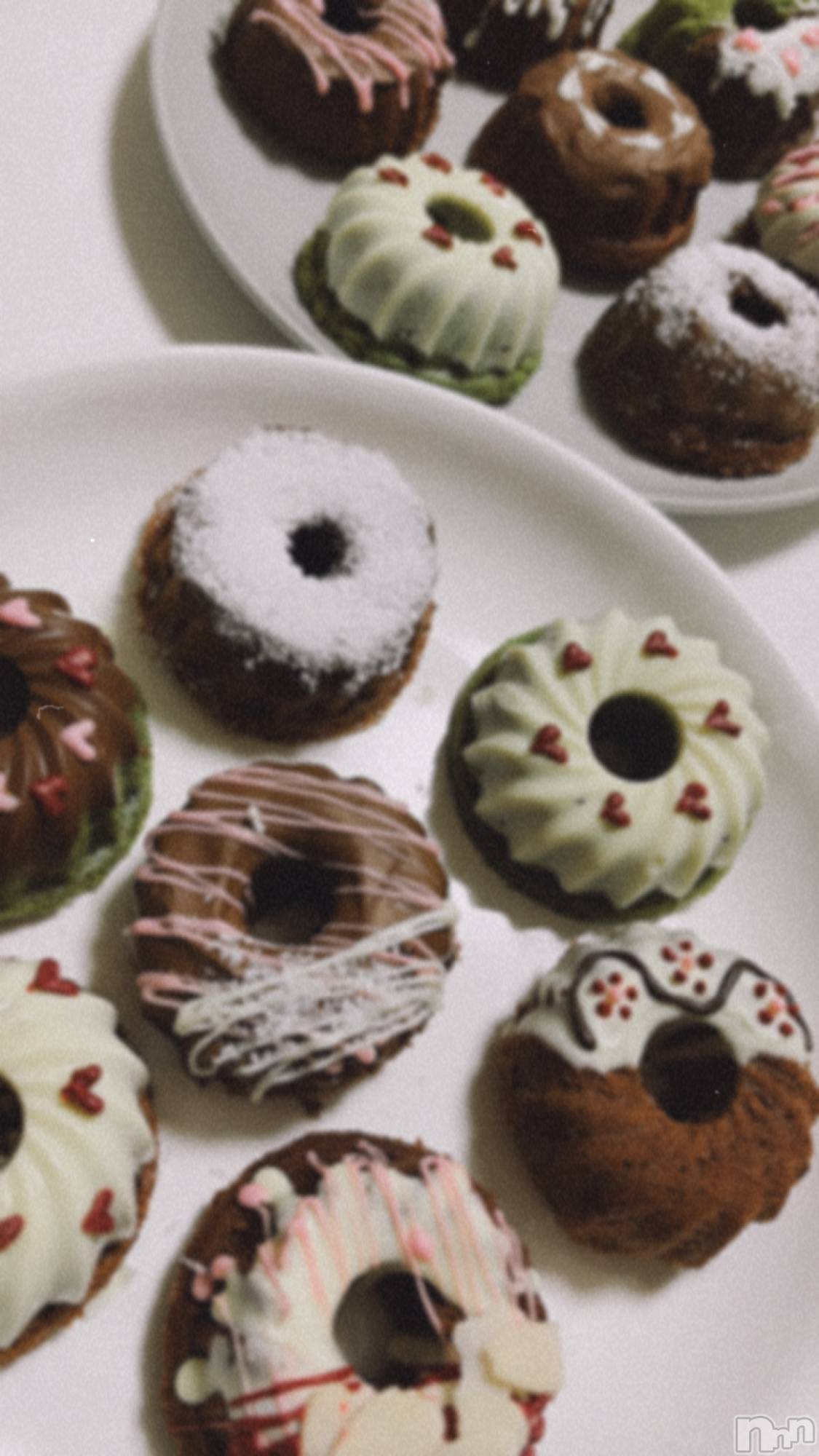 ܱХ顦֥ ץ ( ץ ޥĥ) 2025ǯ214̥֥🍩🍴
