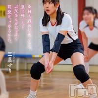 三葉せり