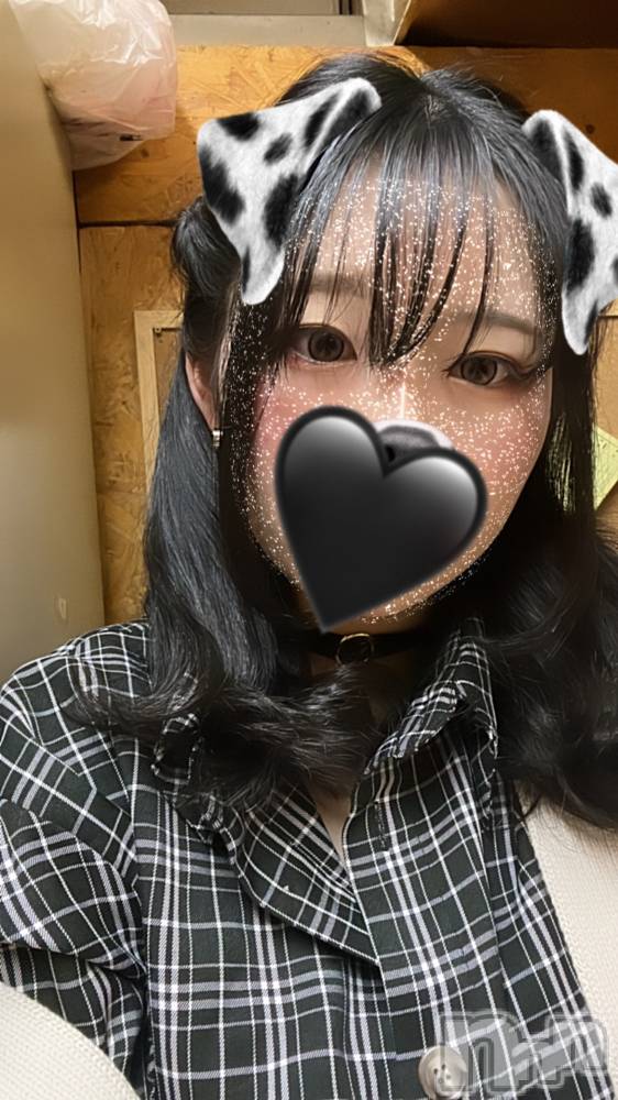 Įʥå륺СL'asile(饸) 430̥֥֤🐶🐾