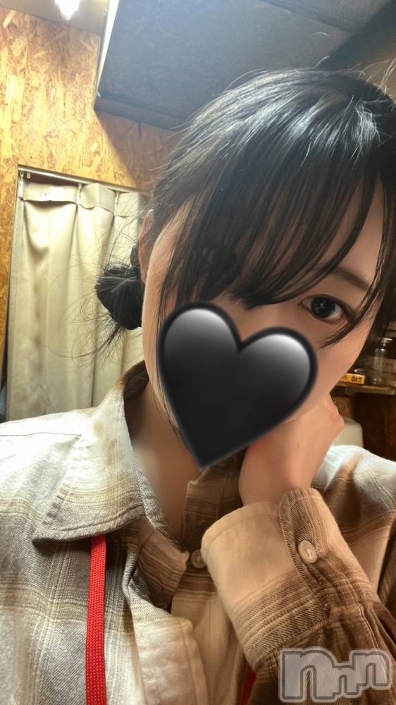 Įʥå륺СL'asile(饸) 512̥֥֤ꤿ