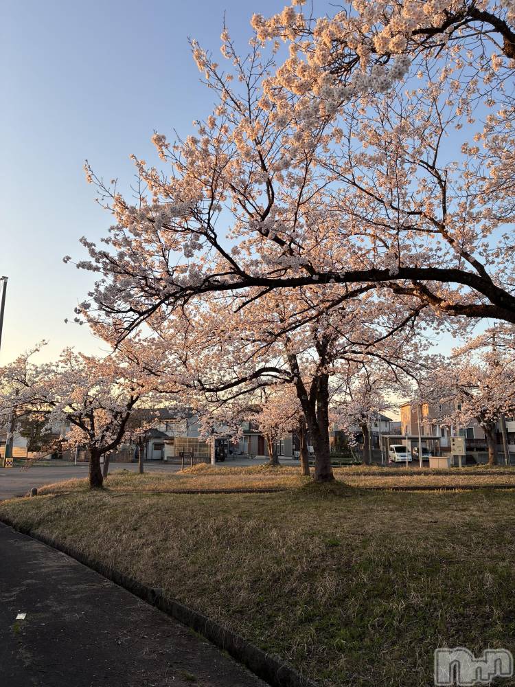 ��Į���ʥå��������륺�С�L'asile(�饸����) ����4��14���̥�֥����֤����顪��