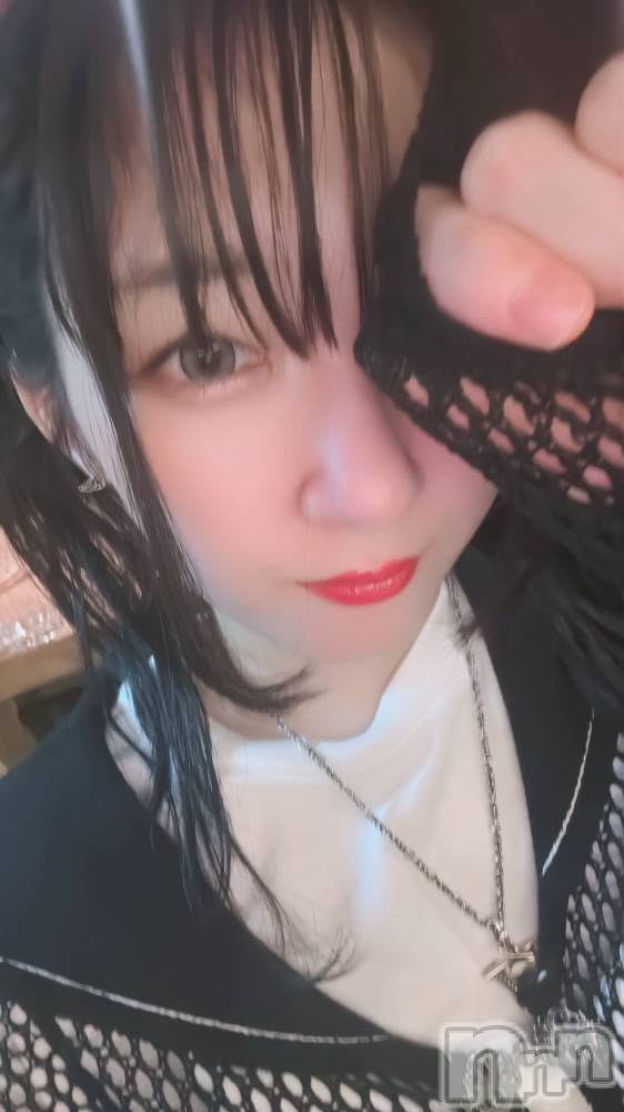 ��Į���ʥå��������륺�С�L'asile(�饸����) ����8��2���̥�֥����֤Ϥʤӡ����礭��🎆��