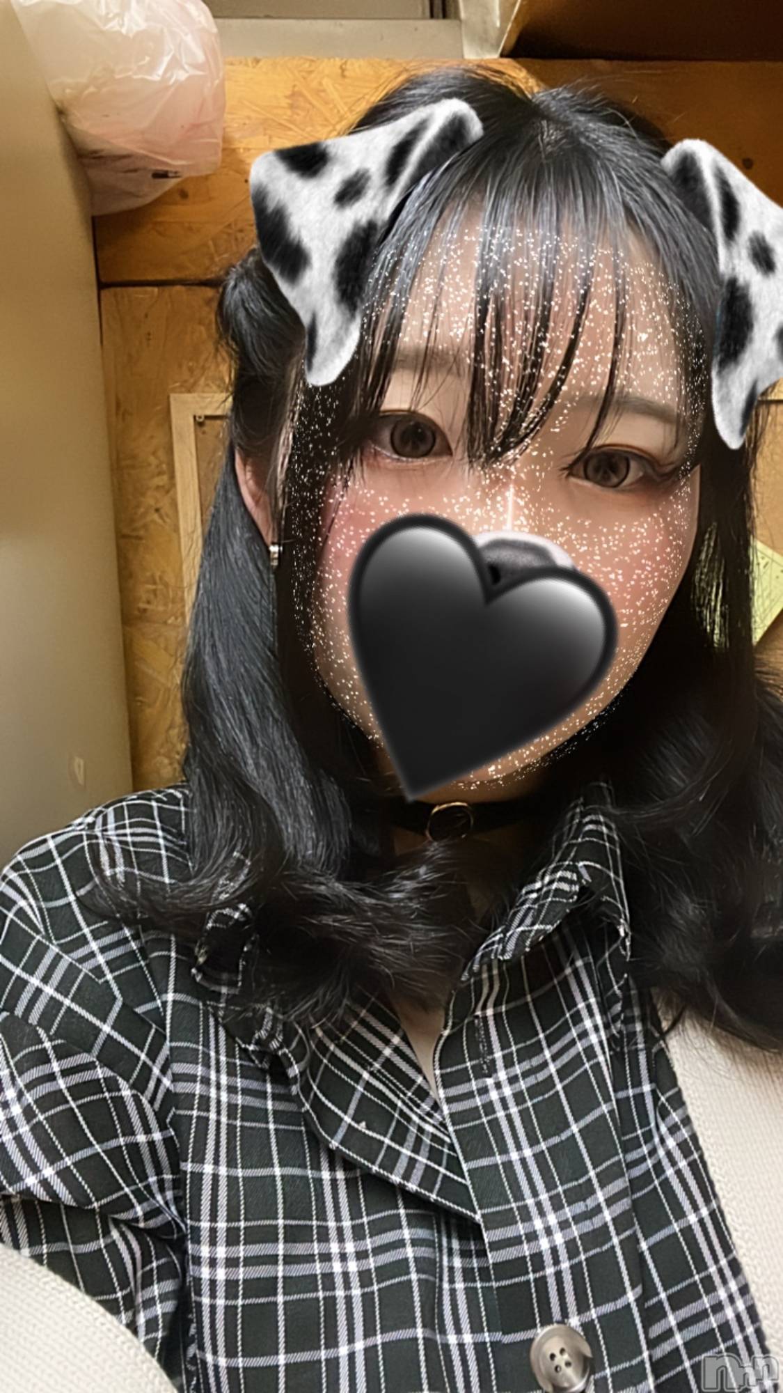 Įʥå륺СL'asile(饸) 2025ǯ430̥֥֤🐶🐾
