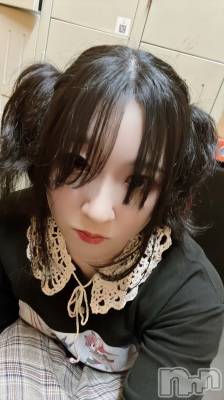Įʥå륺СL'asile(饸) (24)715̥֥ܤĤ